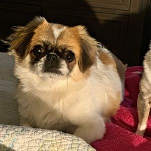 Meet your Posher, Deborah